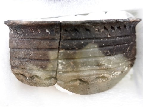 SON03744xx.jpg